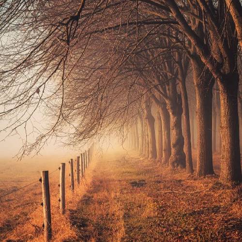 جواب قانونارم دل من میده من دوست دارم ریسکو با دیده سنجیده